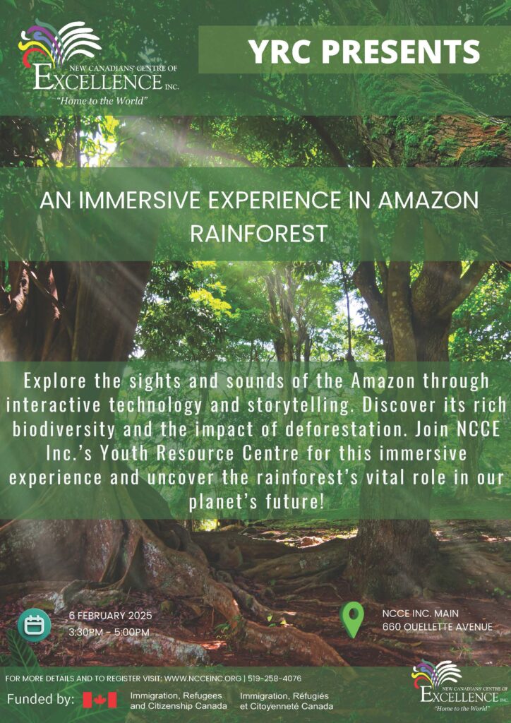 Immersive Experience, Amazon Flyer